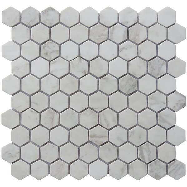 Intrend Tile 125 x 125 in Carrara Stone Hexagon Mosaic NS020B